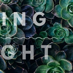 ⬇️⬇️⬇️⬇️⬇️⬇️⬇️